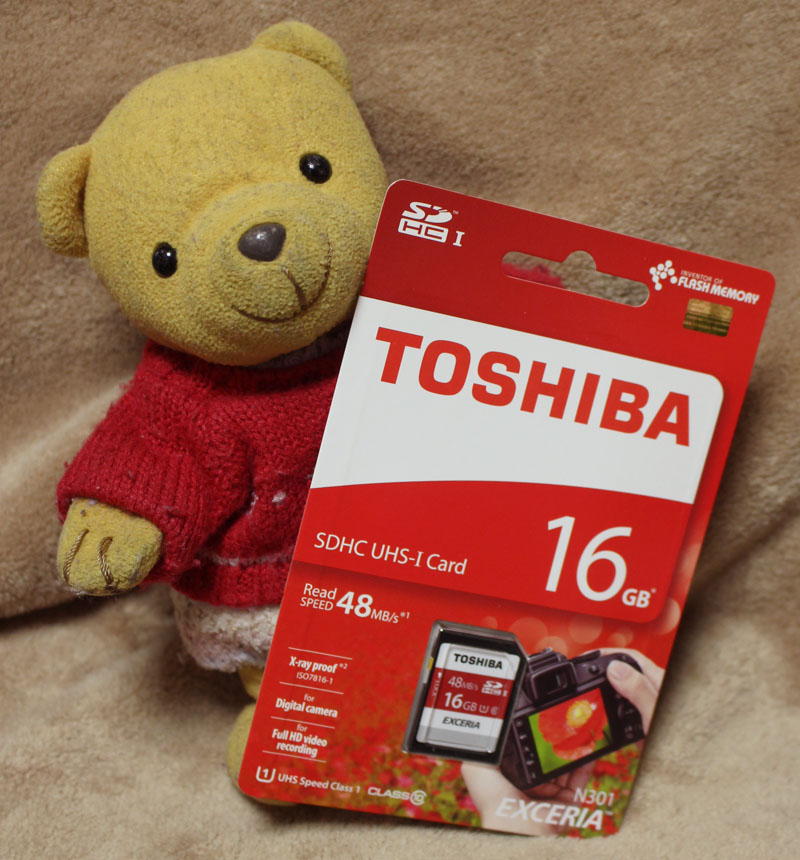 TOSHIBA EXCERIA THN-N301R0160A4 [16GB]と