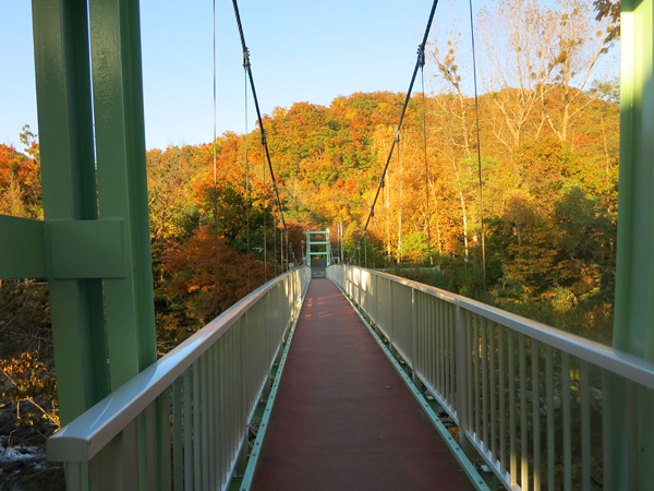十五島公園　吊橋　紅葉