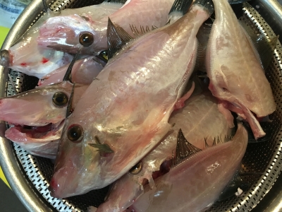 Bassingかわら版blog 今夜の魚料理 ウマヅラハギの鍋と刺身