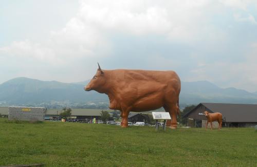 阿蘇の赤牛