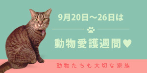 animal-aigo-syukan-cat-300x150.jpg