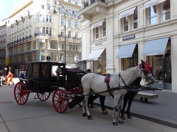 2014欧州　ウィーンでお散歩2 (10)