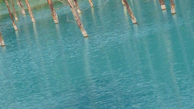 2013年美瑛の青い池