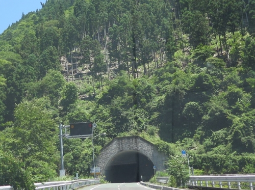 草木トンネル
