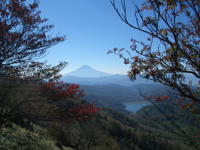 紅葉の中に富士山