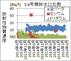 事故から５年経っても下がる気配が無い福島第一沖の放射性物質濃度