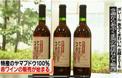 田村市産ヤマブドウワインの販売を報じるＦＣＴ