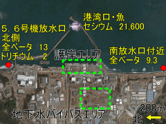 原発事故から５年２ヶ月経ても放射性物質が見つかる福島第一原発沖外洋