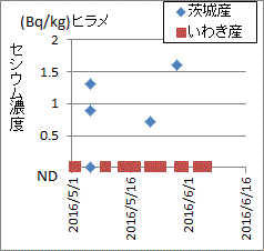 茨城では見つかっているにに福島・いわきは全数ＮＤ、おかしな福島県のヒラメの検査結果