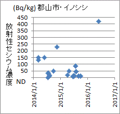 去年は基準値以下なのに今年は基準値の４倍以上になった福島県郡山市産イノシシのセシウム濃度