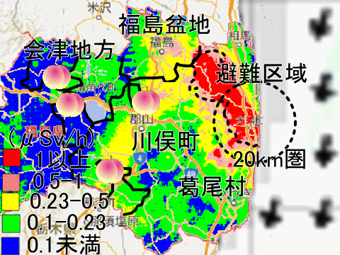 汚染が酷い福島盆地産が検査されない福島のモモ