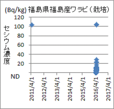 １００Ｂｇ／ｋｇを超えたセシウムが見つかる福島県府島市産栽培ワラビ