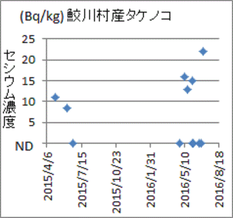 ２０１５年より上昇した２０１６年産鮫川村・タケノコのセシウム濃度