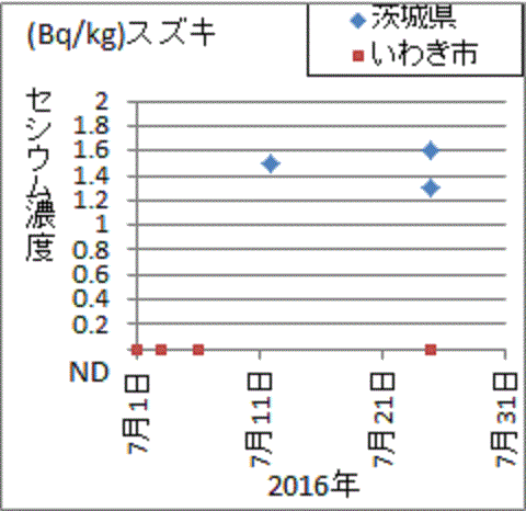 福島いわきな全数ND、茨城では全数セシウム入りのスズキの検査結果