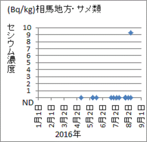 突然に上昇した福島県相馬地方のサメのセシウム濃度