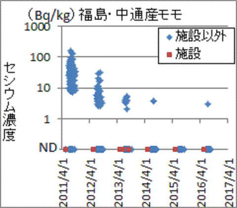 施設栽培は低く出る福島産モモの検査結果