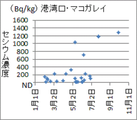 上昇傾向を示す福島第一港湾口のマコガレイのセシウム濃度