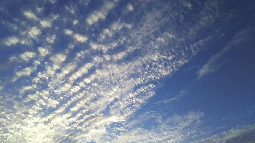 １０月15日の夕方～の空は天界の白鳥が翼を広げたような、きれいな青と白の空でした1