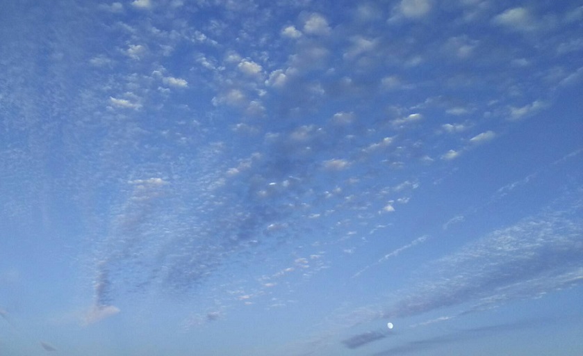 １０月15日の夕方～の空は天界の白鳥が翼を広げたような、きれいな青と白の空でした3