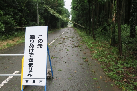 台風9号「倒木による通行止め」碁石沢地区⑤