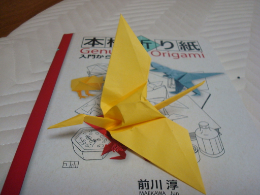 Origami-34.jpg