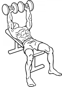 344px-Dumbbell-bench-press-1.png