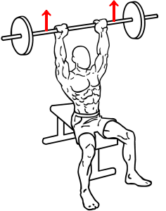 472px-Seated-military-shoulder-press-1.png