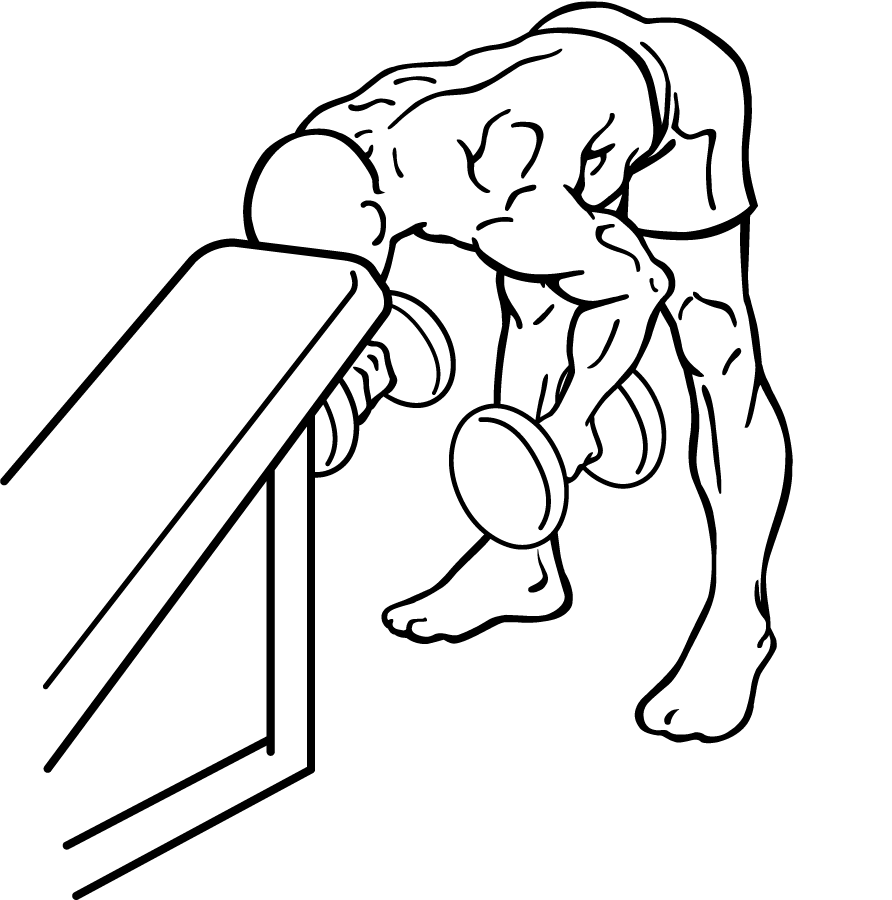 Bent-over-rear-delt-row-with-head-on-bench-2.png