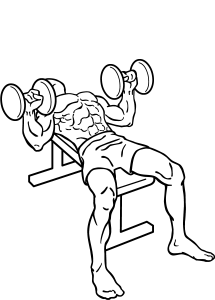 Dumbbell-bench-press-2.png